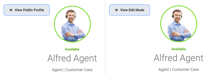 View Public Profile or Edit Mode button
