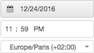 Figure shows date input control with prompts for date, time, and time zone.