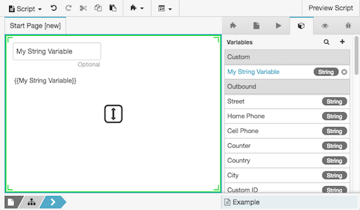 Figure shows appearance of variables in edit mode.