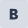 The Bold button that a user accesses to determine the bold text