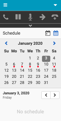 Month view of agent's schedule
