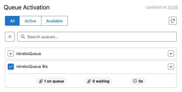This image is a screenshot of the queue activation and stats component that shows the queue statistics.